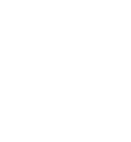 Team Anant Logo